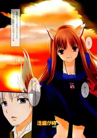 (C74) [Uninigumi (Kakiemon, Ouse Aya, Saji)] Beauty&Beast (Spice and Wolf)