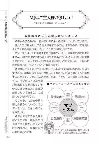 Zero kara Hajimeru SM Manual Kawaii Dorei Shiikujutsu