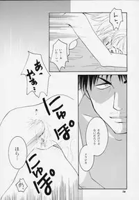 [Sakurara & Cherry (Sakura Mitsuru)] Pink Snow memoria (Hunter x Hunter)