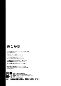 (C89) [Satellites (Satetsu)] LORIM (Touhou Project) [chinese] [無毒漢化組]