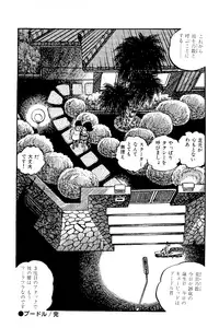 [Nakano Yuu] Koushoku Pet Sensei