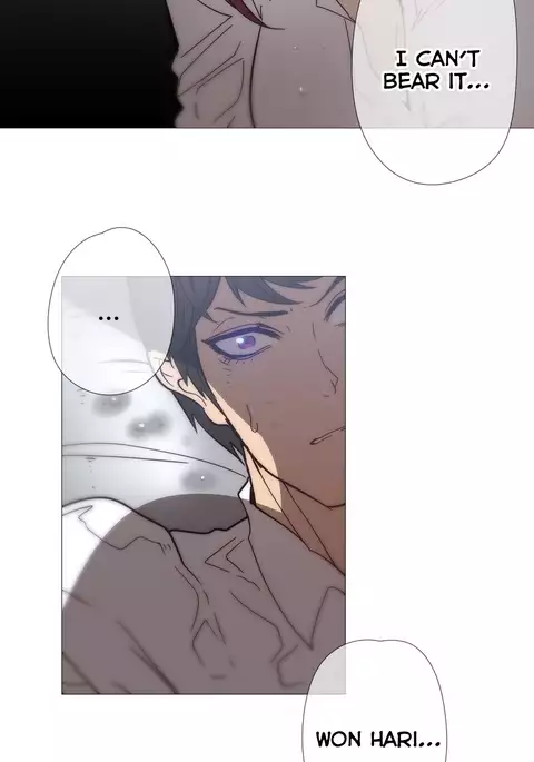 Household Affairs Ch.1-49