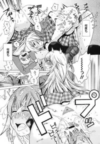 COMIC Megamilk 2010-11 Vol. 05