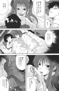 COMIC Shitsurakuten 2007-05