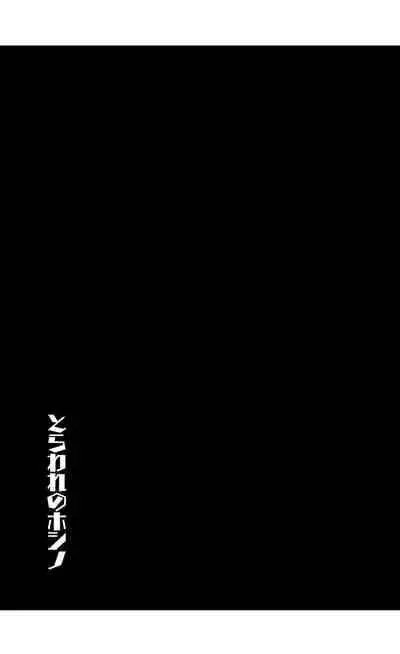 [Kohri Club (Kohri Ms)] Toraware no Hoshino (Blue Archive) [English] [Digital]