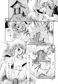 [Noraneko Nagaya] Horoama Omocha Hako