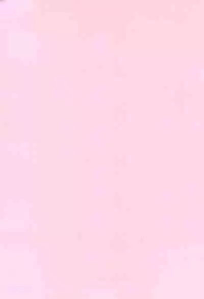 Chicchakute Ecchi Hon 8