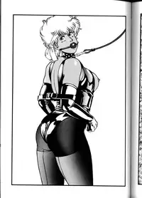 (C56) [ALPS (Ankokudou Shinkaigyo)] Ankoku-dou shinkaigyo e hua xuan-Shuu (Various)