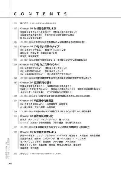 Zero kara Hajimeru SM Manual Kawaii Dorei Shiikujutsu