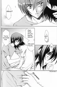 (Mimiket 13) [Yougekishu (Arina Toshimi)] Shakunetsu (Gundam SEED DESTINY) [English] [Arigatomina]