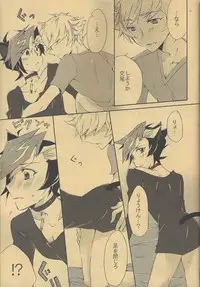 Watashi no Neko wa Nyaa to wa Nakanai.