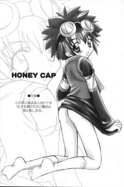 (C61) [Houkago Paradise (Sasorigatame)] Honey Cap (Digimon Adventure 02) [English] [Shochan]