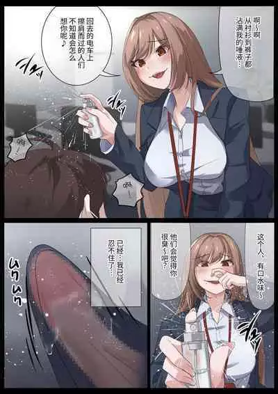 Birei sama no tsuba seme