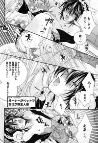 [Kyouya Ayumi] Goshujin-sama, Mofumofu Shite Kudasai!