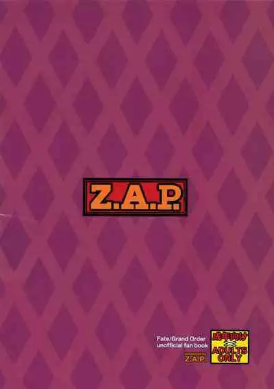 [Z.A.P. (Zucchini)] AVENGER? (Fate/Grand Order) [English] [SDTLs]