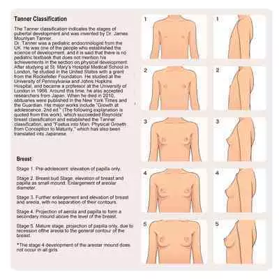 Shoujo Hatsuiku Nenji no Keikou to Tenbou