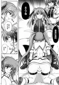 (C79) [Cyclone (Izumi, Reizei)] 767B (Mahou Shoujo Lyrical Nanoha) [Chinese] [脸肿汉化组]