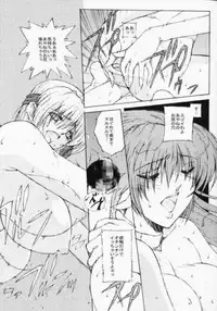 (C61) [Shibarism (Shibari Kana)] DA +PLUS (Dead or Alive)