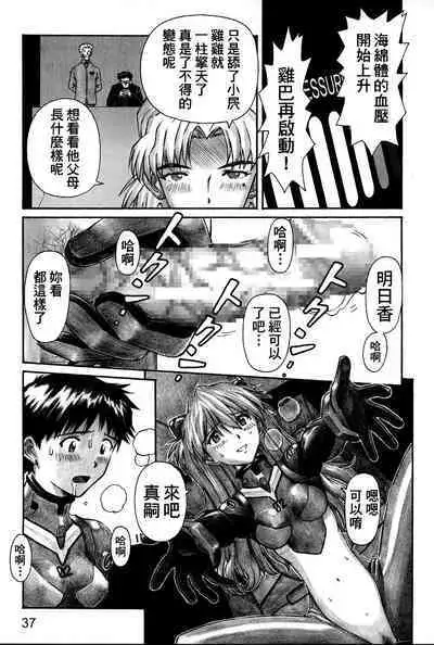 NERV no Ichiban Nagai Hi