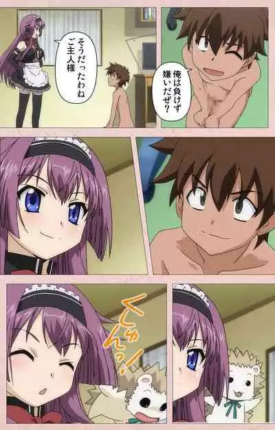 Tsun Tsun Maid wa Ero Ero Desu complete ban