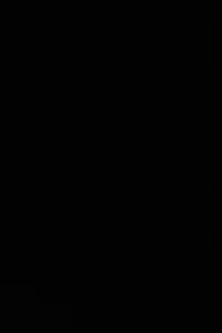 (C82) [Tougesakuraya (Yukian)] Kokomo Beach de Chinpira ni. (Ragnarok Online)