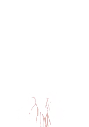 Yuuka-Chirabatta Daiyoukai no Kakera-