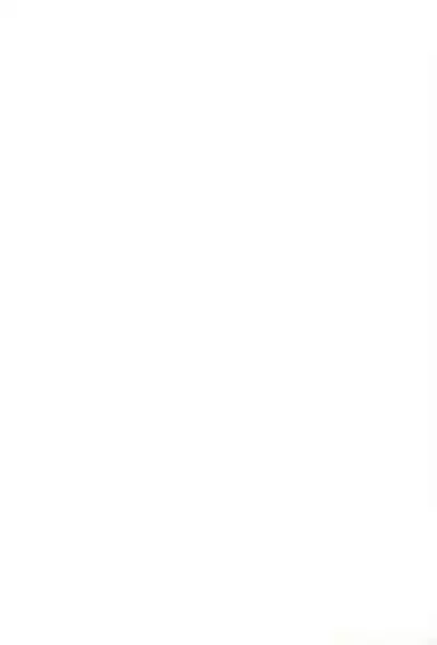 HITOYASUMIX 5 Tsukasa to Kagami to Konata no Hon