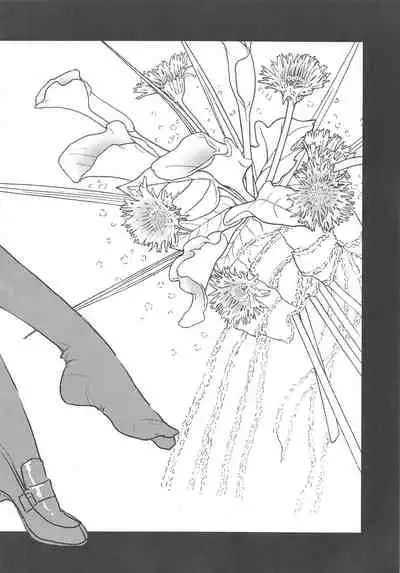 Arisugawa-san no Iu Toori