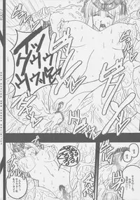 (SC37) [Wakanaya (Kappa Yoshimi)] UNLIMITED GREED 08.6 (Queen's Blade)