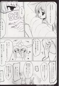 [P-POINT (Pikazo)] USAMIMI BUSTERS! (Touhou Project)