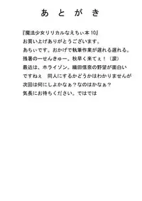 [Nekoya] Mahou Shoujo Lyrical na Echii Hon 10 (Mahou Shoujo Lyrical Nanoha)