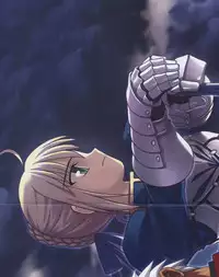 Fate/stay night Premium FanBook