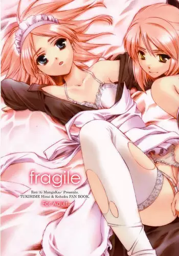 (C62) [Renai Mangaka (Naruse Hirofumi)] fragile (Tsukihime)