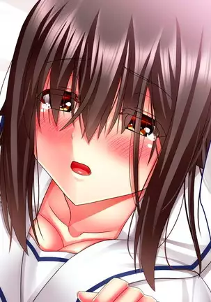 Hikaeme Jimime na Imouto to Nettori Gattsuri Love Love Ecchi