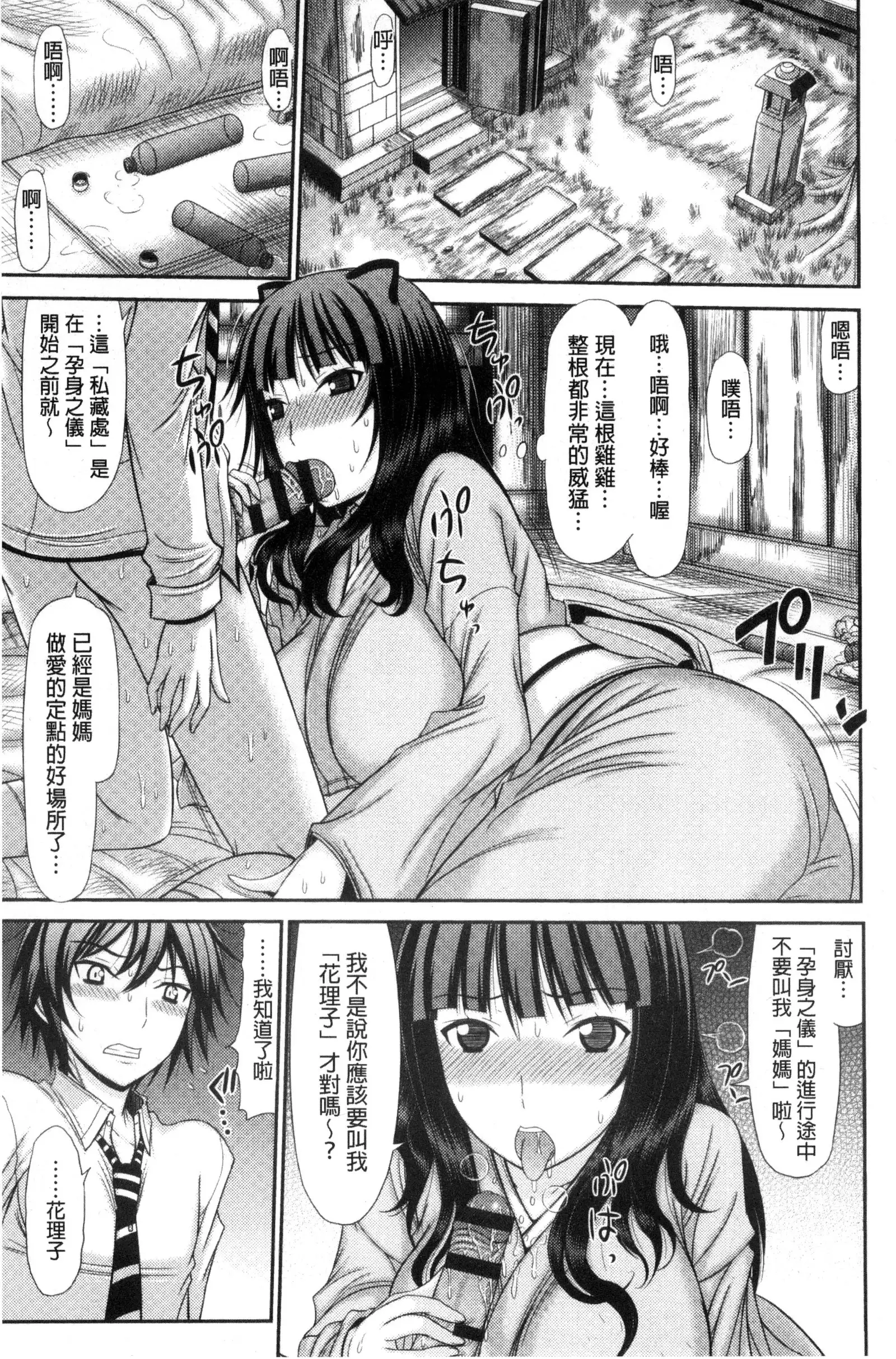 Shimai Seikou Inshuu