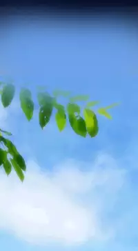 [Hong BanJang] Aharoo Ch.1-32 (English) (YoManga) (Ongoing)