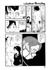 [Kaimeiji Yu] Volunteer Breeding