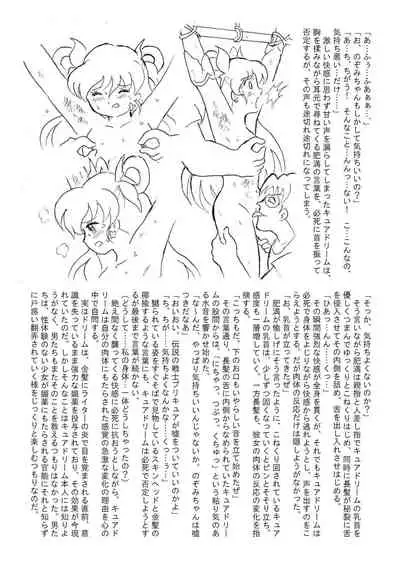 [Tyoujiya Zantou (Matsumoto Kenji)] Messhi yuku Kibou no Hikari (Yes! Precure 5)