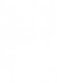 (C67) [TWINTAIL] Gekkan Shizuka (Doraemon)