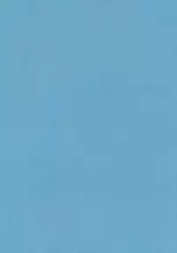 (SC61) [Singleton (Azuma Yuki)] Ryuujou no Tawamure (Kantai Collection -KanColle-)