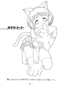 (C59) [DOUDANTSUTSUJITOMONOKAI (Doudantsutsuji)] SHINOBOOK 3 (Love Hina)