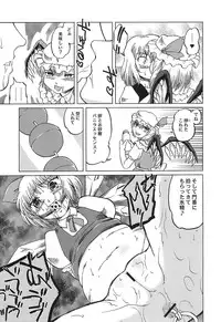 (C70) [Mirabilien Fabrik (Various)] Shoujo Yousai Rengashuu Touhou Inreika (Touhou Project)