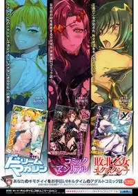 ERONA Orc no Inmon ni Okasareta Onna Kishi no Matsuro