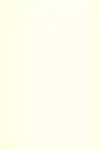 (Puniket 22) [Ware PON! (KONKON)] Kyouran Pair Diary (Kyouran Kazoku Nikki)