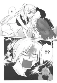 (C67) [Nanamiya (Kotoni Kell)] WINTER ALCHEMIST (Fullmetal Alchemist)