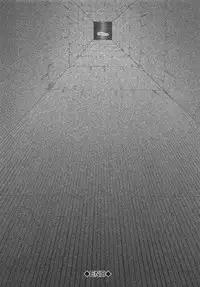 [Kabashima Akira] NINSHIN×5 [Chinese]