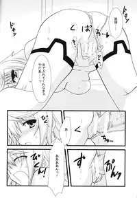 (C79) [CHAGASHI SAIBAN (Yamabuki Mook)] Kigae Chuuihou! (Infinite Stratos)