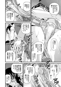 [SHION] Tokubetsu janai Himitsu no Kankei [Digital]