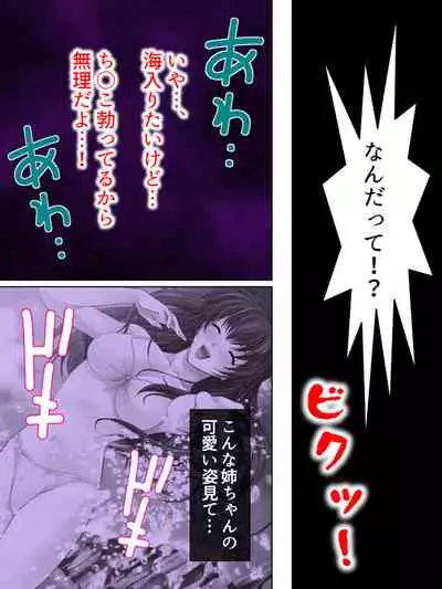 Nee-chan wa Boku no Kokan no Sewagakari ～Konna Seikatsu, Yamerarenai!～