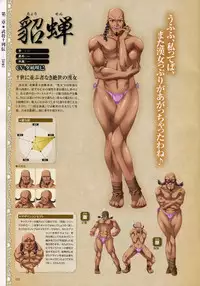 [Baseson] Shin-Koihime Musou Otome Ryouran Sangokushi Engi Perfect Visual Book